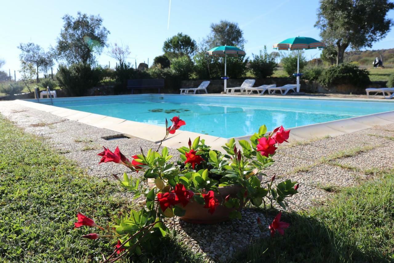 Agriturismo Tinti Монтиано Екстериор снимка